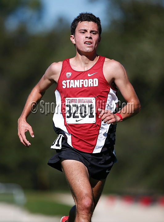 2013SIXCCOLL-077.JPG - 2013 Stanford Cross Country Invitational, September 28, Stanford Golf Course, Stanford, California.